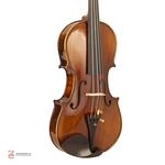 ویولن فونیکس OVS301 E 4/4 - Image 3