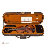 ویولن فونیکس OVS301 E 4/4 - Image 8