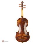 ویولن فونیکس OVS303 E 4/4 - Image 2