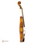 ویولن فونیکس 4/4 OVT301 E - Image 3