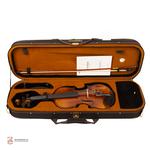 ویولن فونیکس 4/4 OVT301 E - Image 9