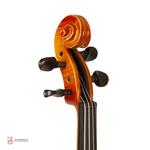 ویولن فونیکس 4/4 VP201 E - Image 5