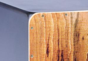 کاخن پاکو مدل ساب ووفر طرح آتش - Image 2