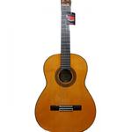 گیتار کلاسیک پالادو مدل CG-80