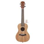 یوکلله فندر