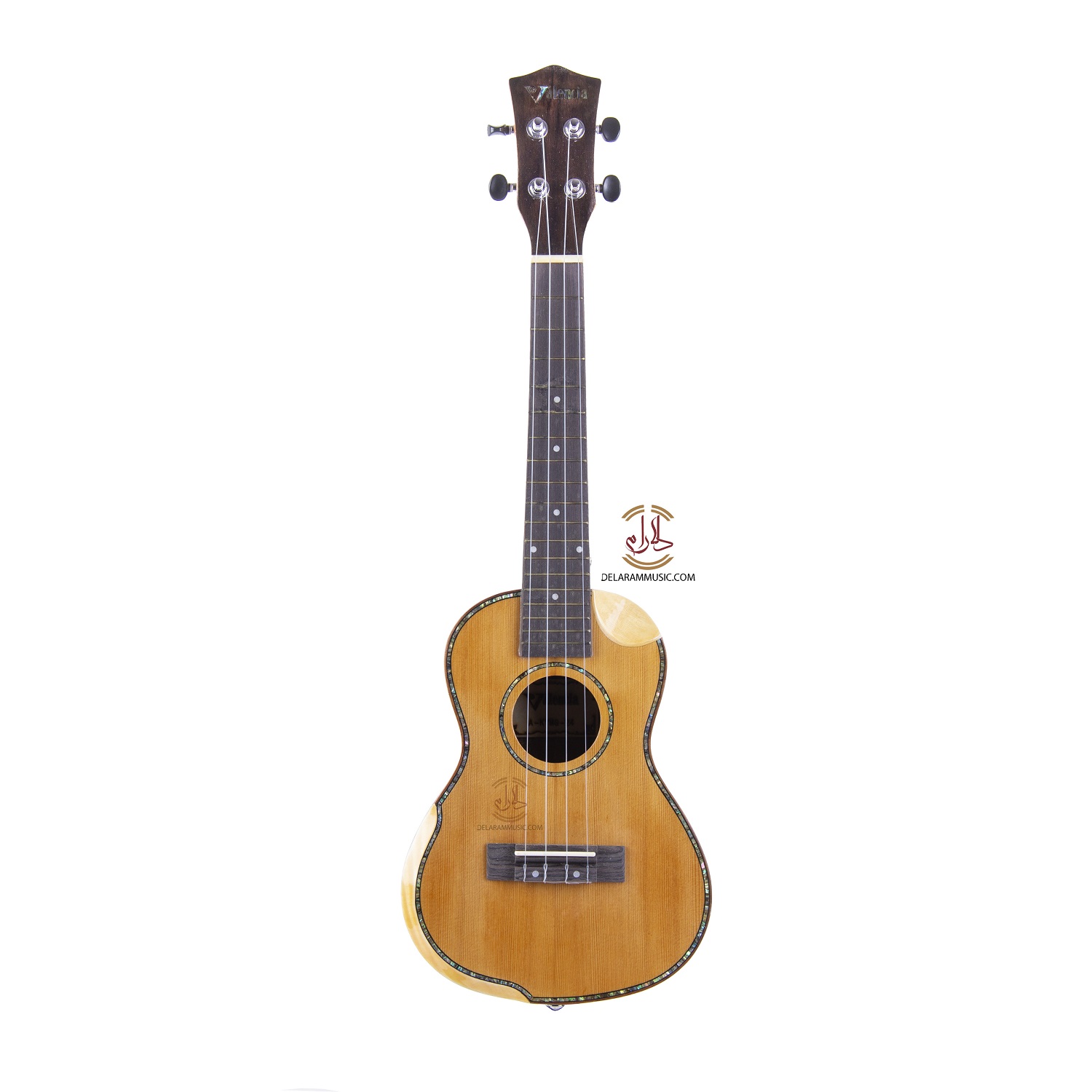 یوکلله والنسیا کات وی لبه دار مدل KYMG-24