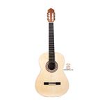 گیتار آگرین