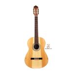 گیتار آگرین مدل 1