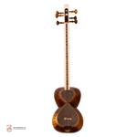 تار همایون دو مهر