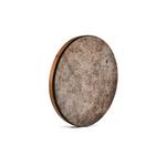 دف ترکه ای پادوک نوجوان