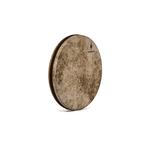 دایره پادوک کوکی