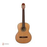 گیتارریچاردبونل مدل 825