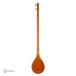 سه تار مسعود( الگو استادهاشمی)