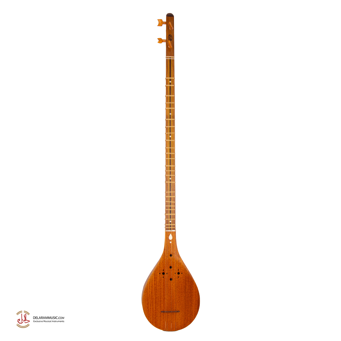 سه تار مسعود( الگو استادهاشمی)