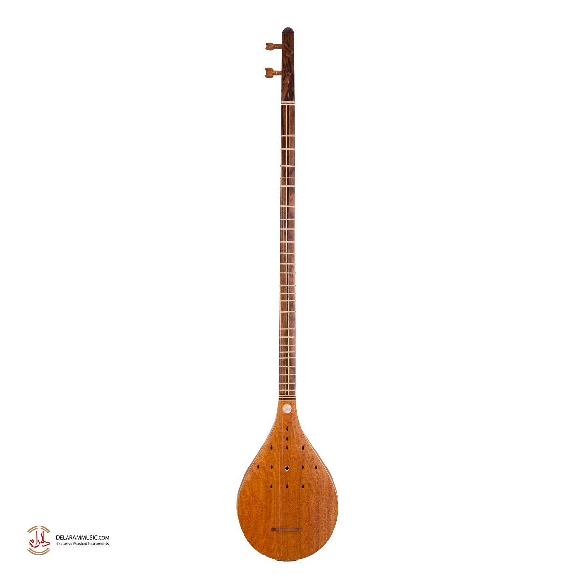 سه تار مسعود( الگو استاد کمالیان)