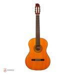 گیتار آدور مدل A10