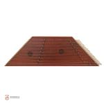 سنتور موسوی رزوود