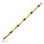 نی پارسا دومهر