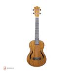 یوکلله چینی مدل1