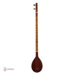 سه تار مسعود