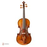 ویولن فونیکس OVP206 E 2/4 