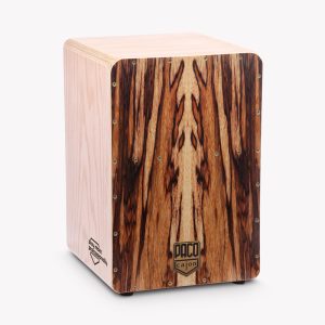 کاخن پاکو مدل مستر طرح مولانا