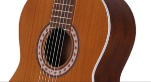 گیتار کلاسیک پارسی مدل M5 - Image 3