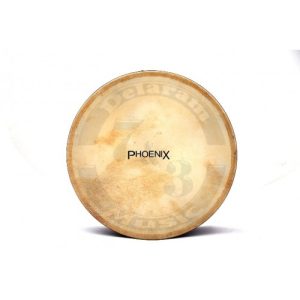 بندیر فونیکس