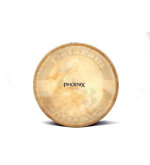 بندیر فونیکس