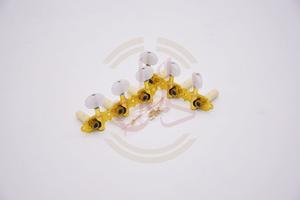 تار برزگر دو مهر - Image 2