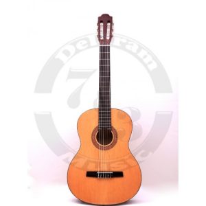 گیتار هوهنر HC06