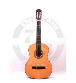 گیتار هوهنر HC06