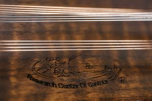 سنتور آرزو (پژوهشکده سنتور) - Image 2