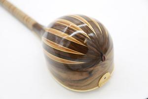 سه تار هادی پنجه قنبری - Image 2