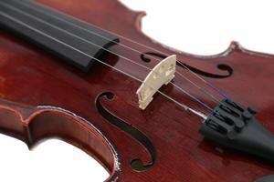 ویولن آلوی MV-130 - Image 2