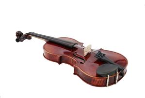 ویولن آلوی MV-130 - Image 3