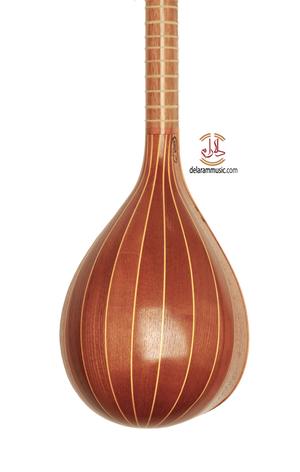 سه تار همایون دو مهر - Image 2