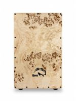 کاخن پالوس مدل C611 روشن