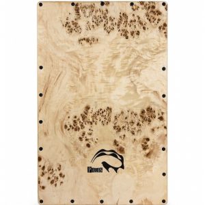 کاخن پالوس مدل C611 روشن