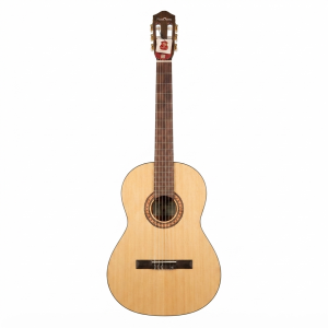 گیتار کلاسیک Peaktones مدل L2