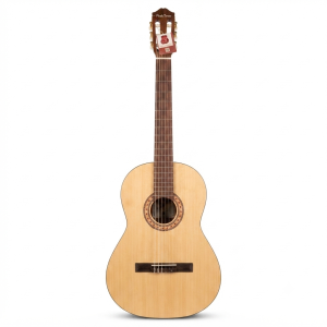 گیتار کلاسیک Peaktones مدل L4