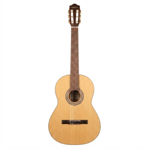 گیتار کلاسیک Peaktones مدل L1