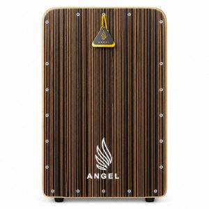 کاخن آنجل (Angel) کد 13